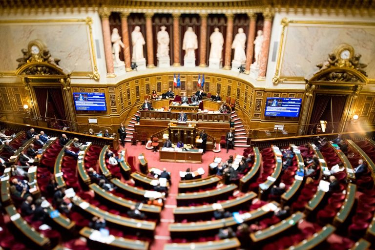 Lire la suite à propos de l’article Projet de loi « Senior »